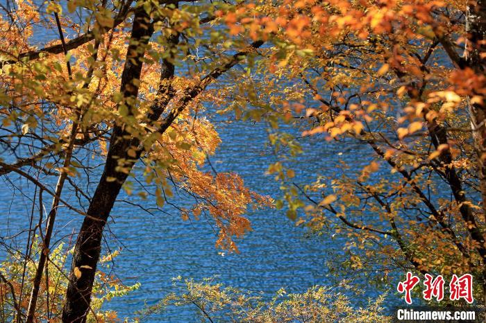 松坪溝風(fēng)光。　劉通 攝