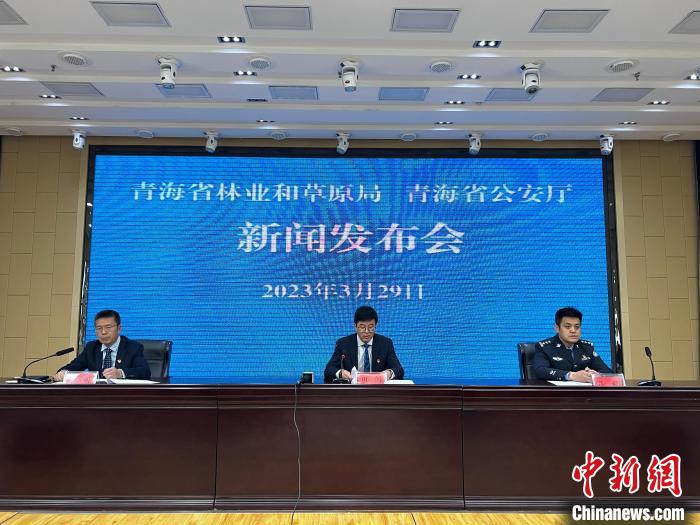 青海去年占用林地、草地準予許可件同比實現(xiàn)“雙減”