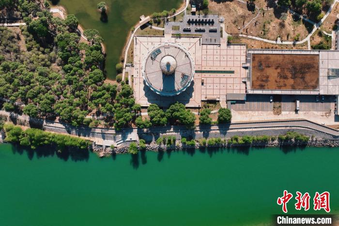 航拍青海貴德黃河岸畔綠意濃濃?！≮w凜松 攝