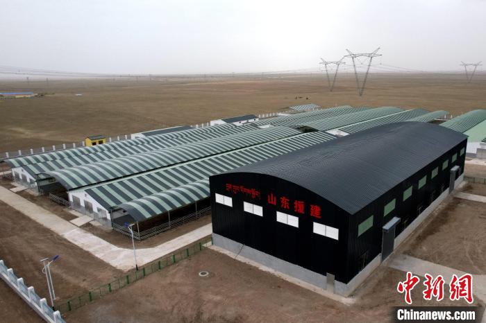 圖為航拍生態(tài)畜牧業(yè)集中規(guī)?；B(yǎng)殖基地?！〔讨绢?攝