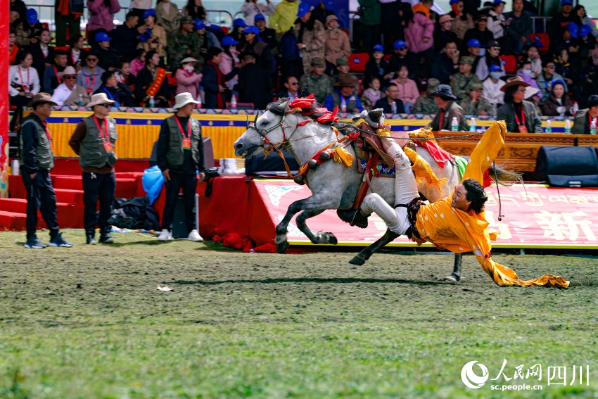 馬術(shù)表演現(xiàn)場(chǎng)。洛絨尼瑪攝