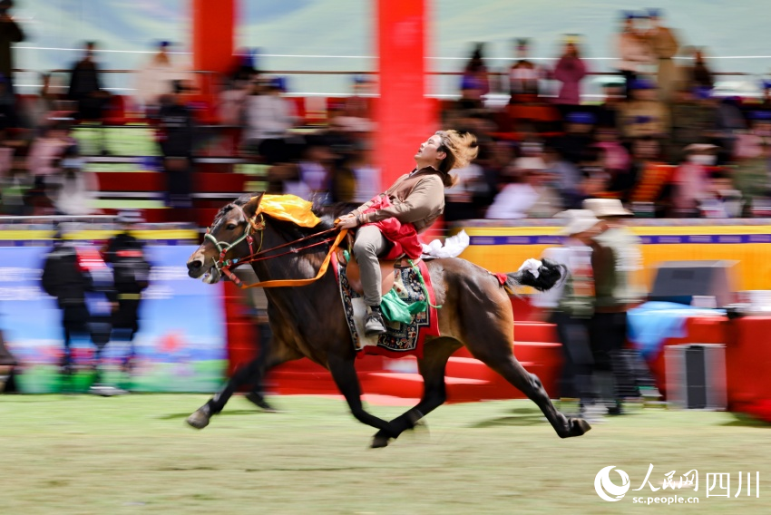 馬術(shù)表演現(xiàn)場(chǎng)。洛絨尼瑪攝