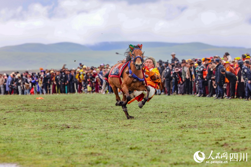 馬術(shù)表演現(xiàn)場(chǎng)。洛絨尼瑪攝