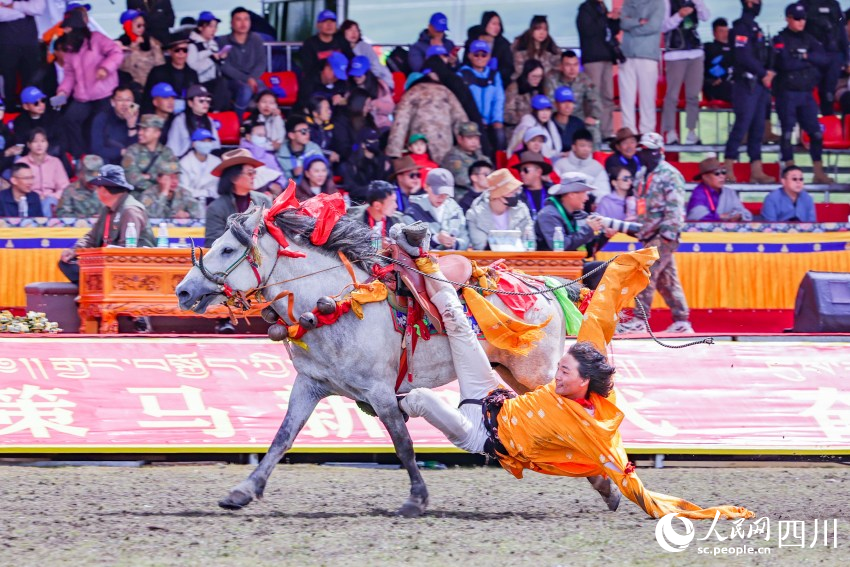 馬術(shù)表演現(xiàn)場(chǎng)。洛絨尼瑪攝