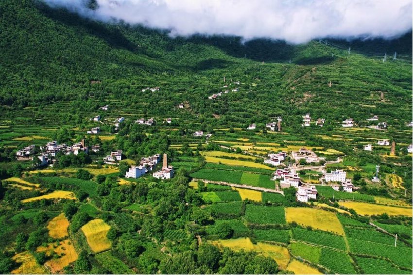 綠色丹巴。丹巴縣委宣傳部供圖