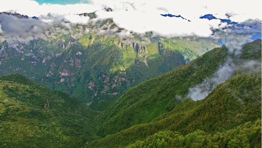 丹巴縣牦牛谷省級(jí)森林公園風(fēng)光。丹巴縣委宣傳部供圖