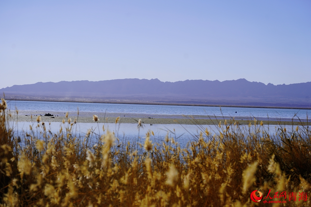 可魯克湖秋色如畫。人民網(wǎng) 陳明菊攝