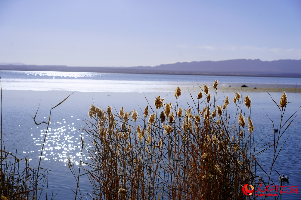 可魯克湖秋色如畫。人民網(wǎng) 陳明菊攝