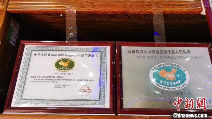圖為2015年，隆子黑青稞成為中國(guó)國(guó)家地理標(biāo)志保護(hù)產(chǎn)品?！垈?攝