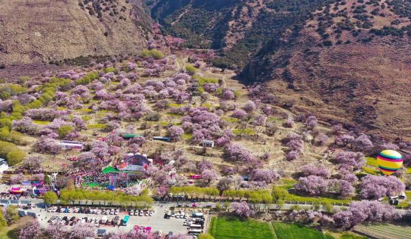 世外桃源！一組圖告訴你，西藏林芝桃花能有多美