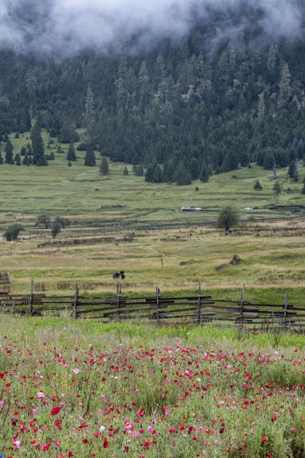 跟我，踏上最美“景觀大道”