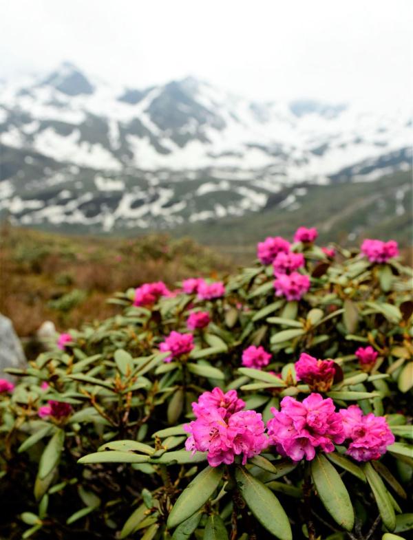 跟我，踏上最美“景觀大道”