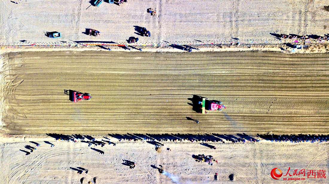 山南市扎囊縣扎其鄉(xiāng)孟卡榮村迎來春耕第一犁。人民網(wǎng) 次仁羅布攝