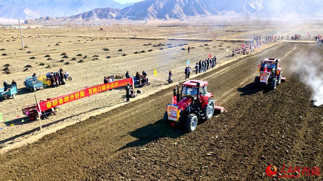 山南市扎囊縣扎其鄉(xiāng)孟卡榮村迎來春耕第一犁。人民網(wǎng) 次仁羅布攝