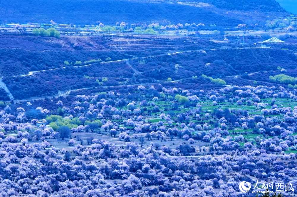 遠(yuǎn)眺“桃花村”。人民網(wǎng) 李海霞攝