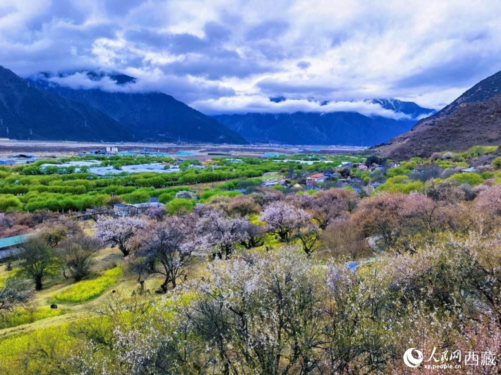 桃花從中的“童話小鎮(zhèn)”。人民網(wǎng) 李海霞攝