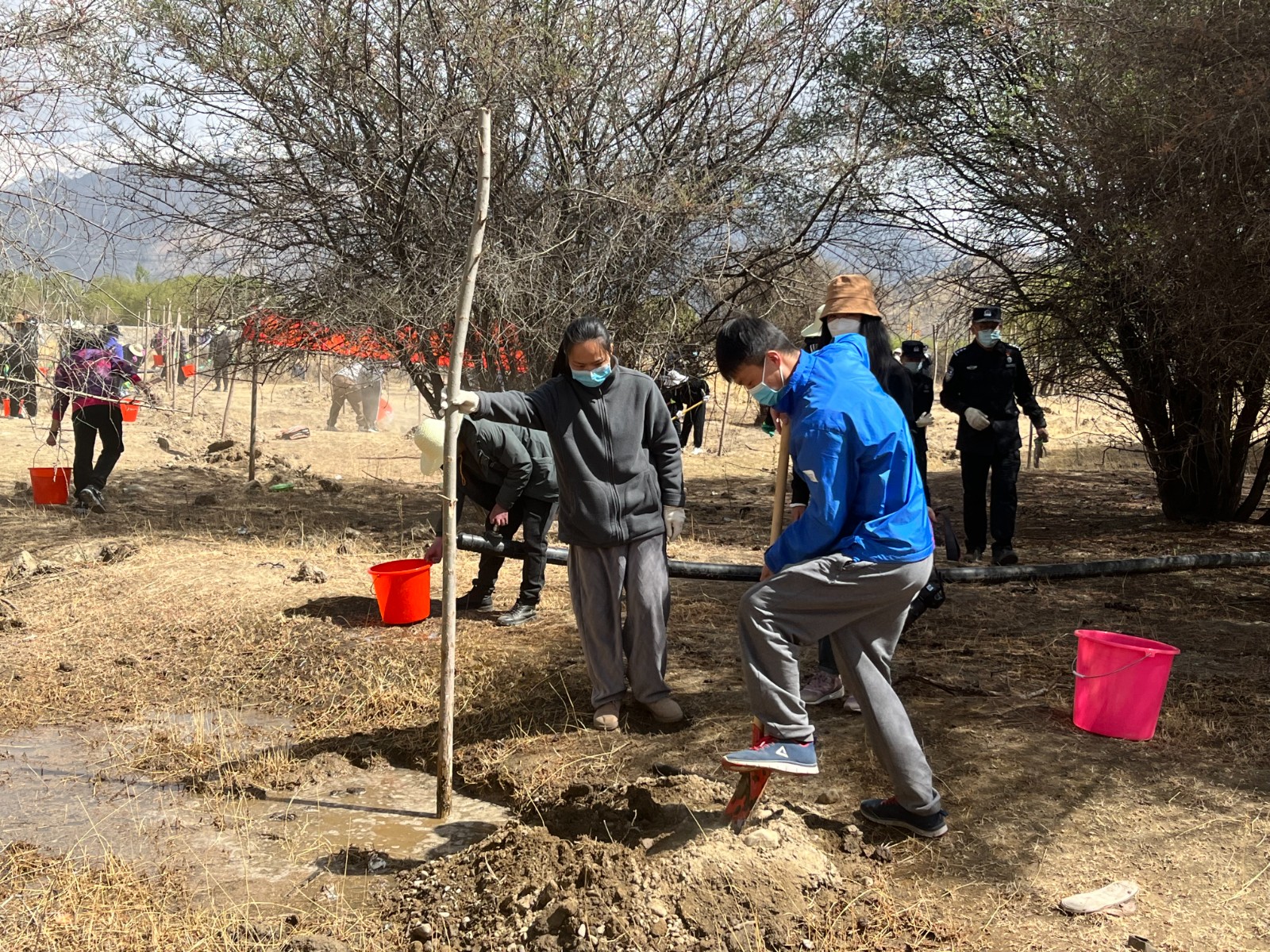 植樹現(xiàn)場，大家分工明確，配合默契(2000565)-20220420090303.jpg