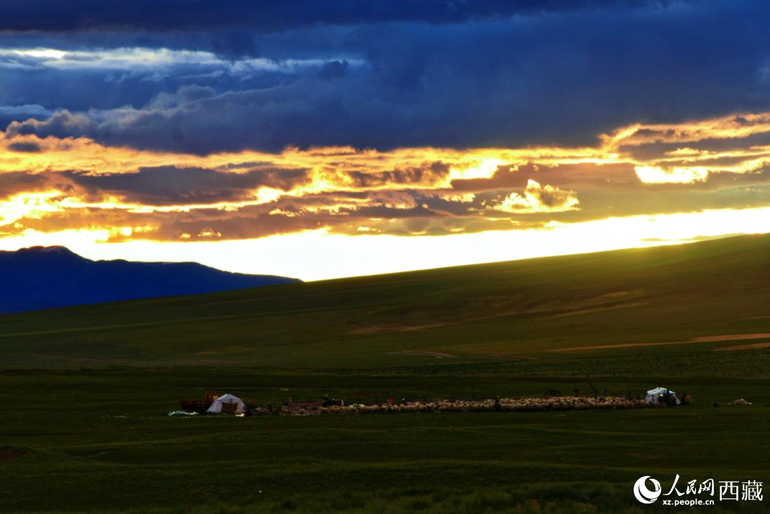 黃昏下的帳篷，牧民過著幸福生活。 人民網(wǎng) 李海霞攝