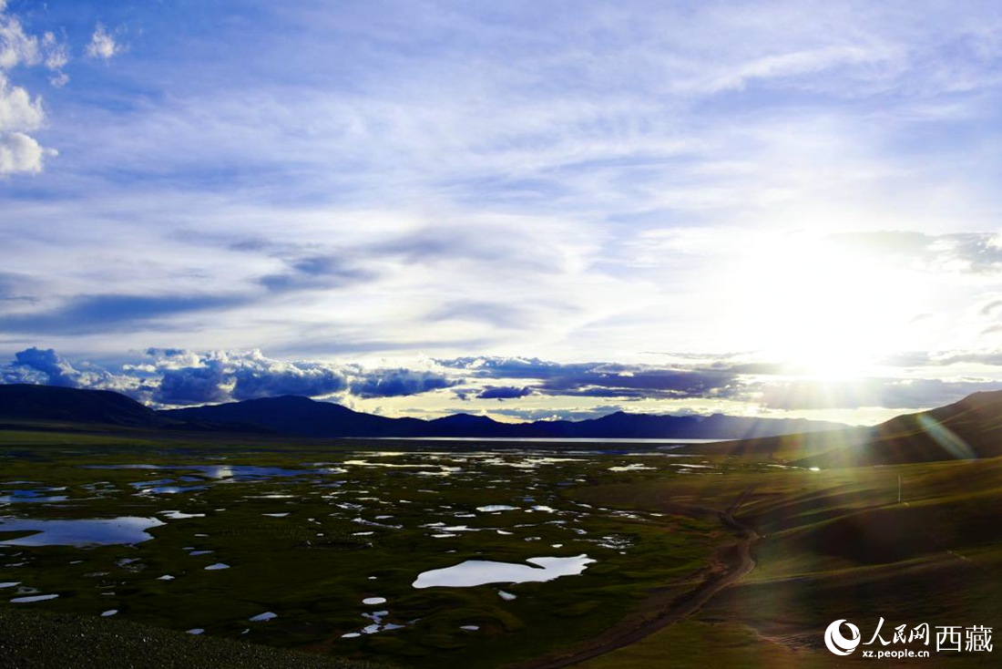 七月的羌塘草原處處是景。人民網(wǎng) 李海霞攝