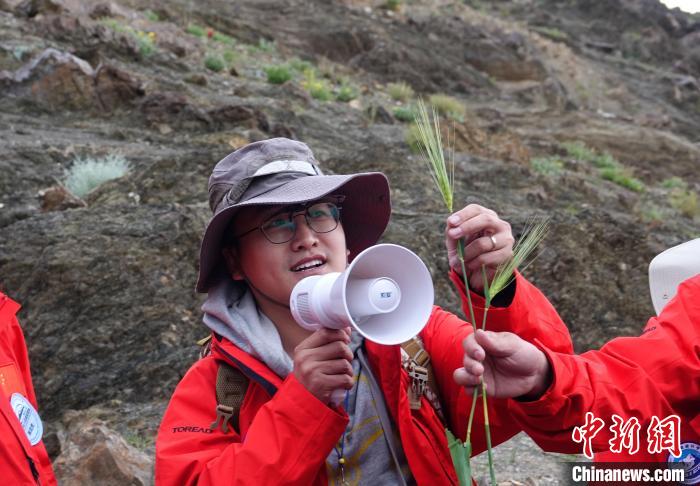 青藏科考：青稞如何走上青藏高原？