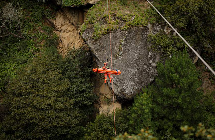 叢林中的橙色身影。西繞拉翁攝