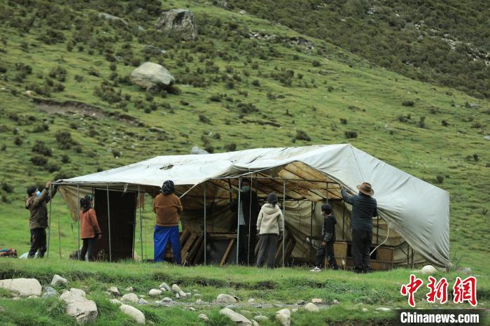 圖為牧民們?cè)谇锛灸翀?chǎng)搭建帳篷?！÷蹇?攝