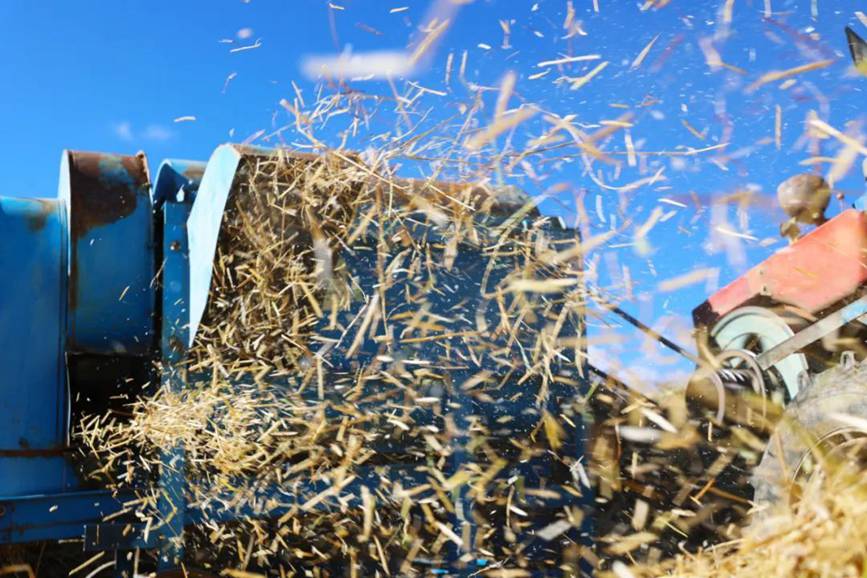 西藏吉?。簬愠两襟w驗(yàn)秋收打場(chǎng)【7】