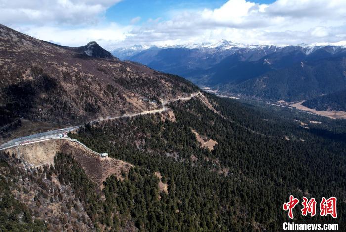 2月17日，西藏林芝魯朗林海。(無人機(jī)照片) 李林 攝