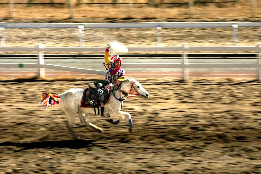 藏歷新年，精彩的馬術表演。張靜攝