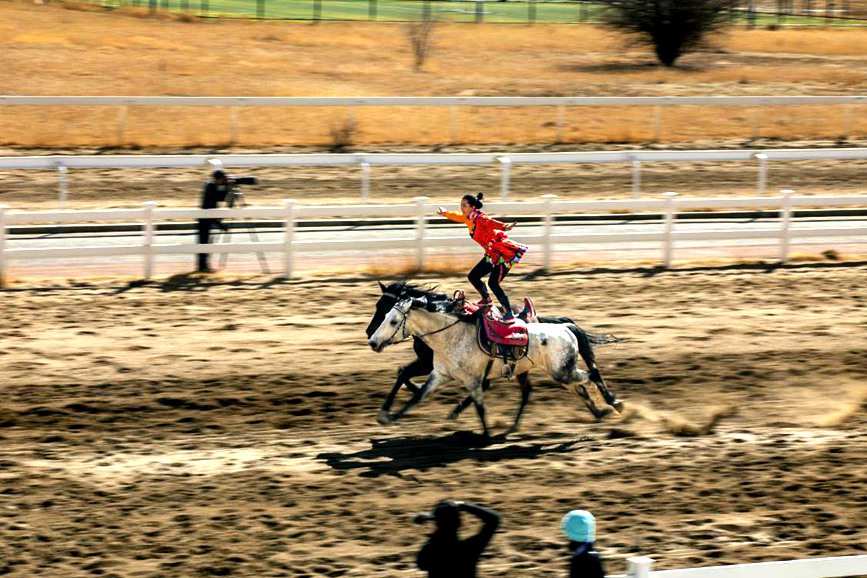 藏歷新年，精彩的馬術表演。張靜攝