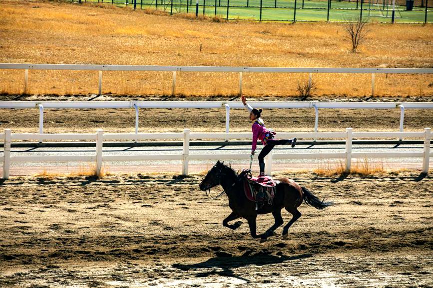 藏歷新年，精彩的馬術表演。張靜攝
