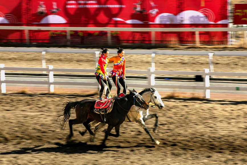藏歷新年，精彩的馬術表演。張靜攝