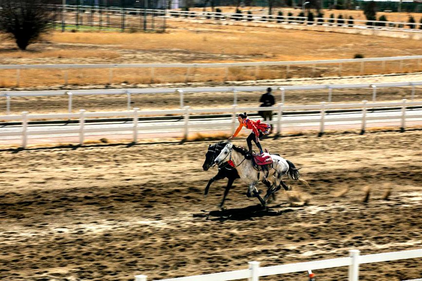 藏歷新年，精彩的馬術表演。張靜攝