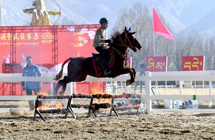 藏歷新年，精彩的馬術表演。潘多攝