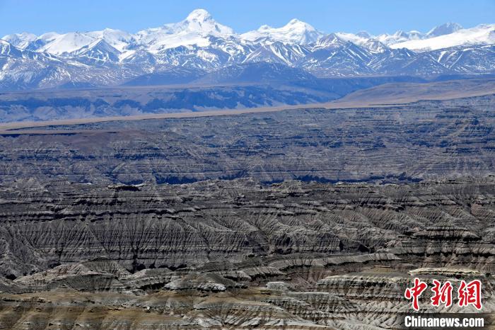 4月5日，西藏阿里札達(dá)土林?！±盍?攝