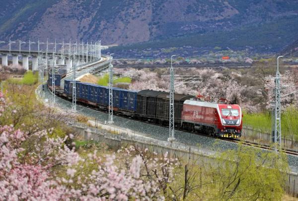 人間桃花源！林芝桃花有多絕？