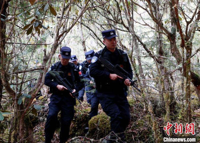 山南邊境管理支隊玉麥邊境派出所民警在邊境原始森林里開展邊境巡邏。　鄭琦山 攝