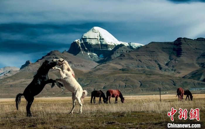 圖為參展攝影師拍攝的西藏阿里岡仁波齊?！≈鬓k方 供圖