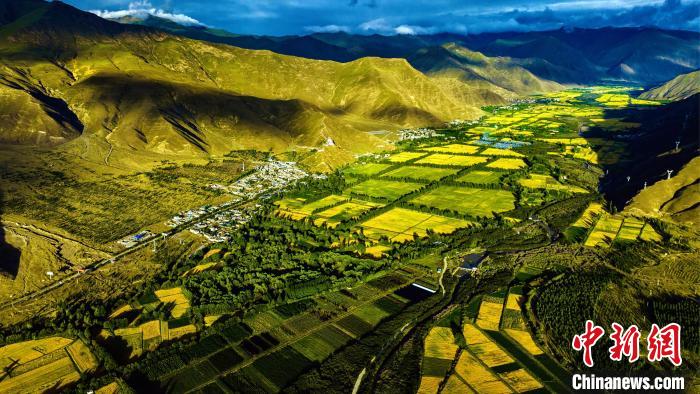 圖為山南雍布拉康附近農(nóng)田?！埼?攝