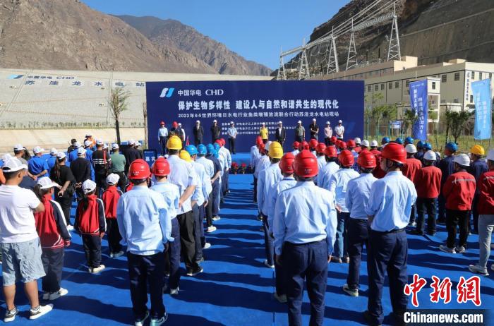 圖為蘇洼龍水電站魚類放流現(xiàn)場?！√K洼龍水電站供圖