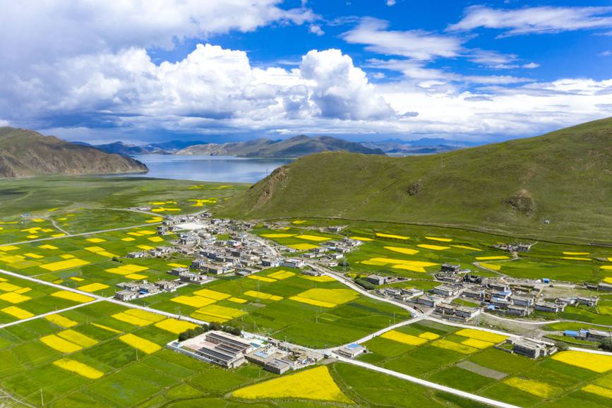 航拍道布龍村，依山傍水，阡陌縱橫。