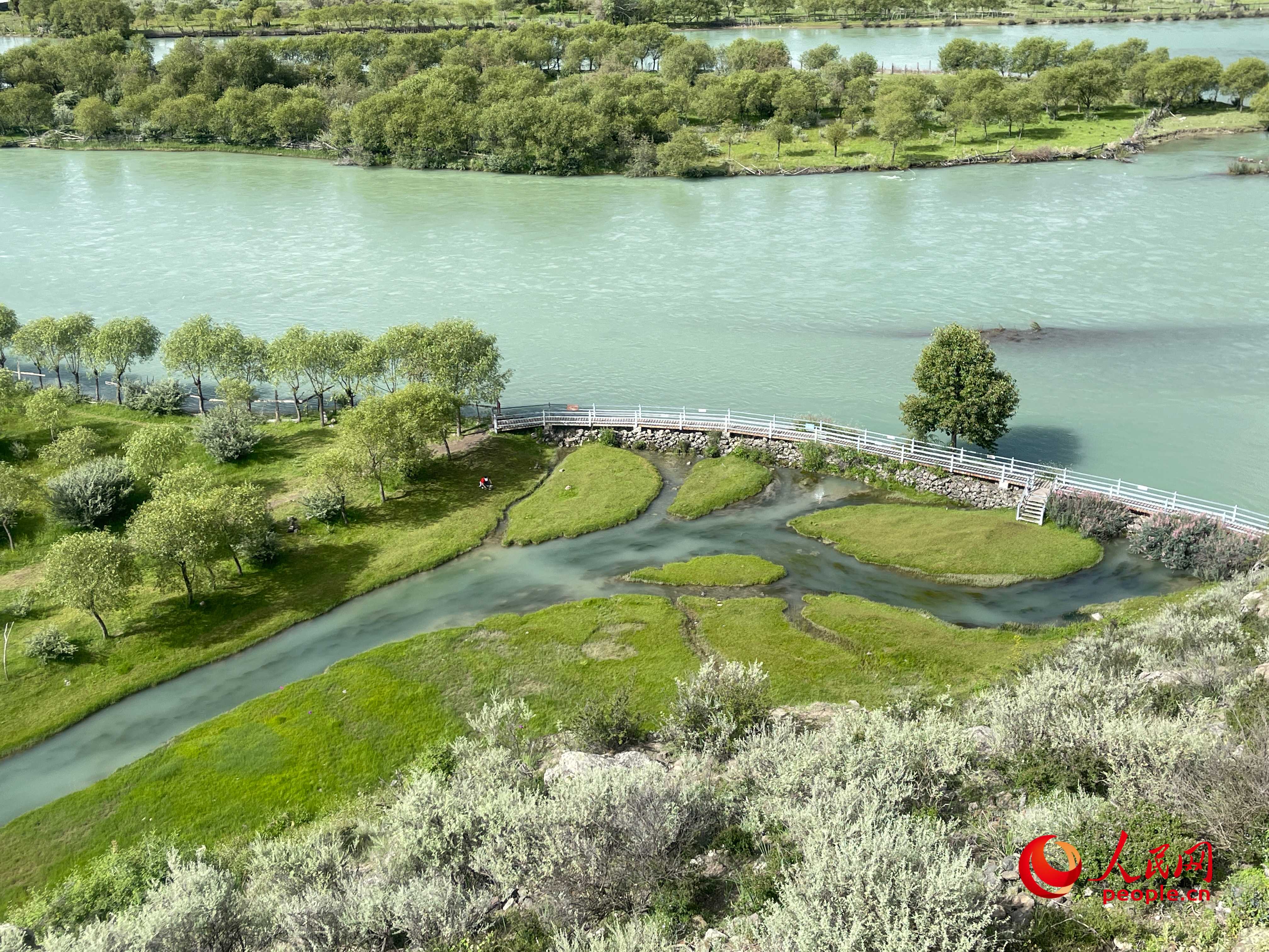 夏日的雅尼國家濕地公園生機盎然，如詩如畫。人民網(wǎng) 周靜圓攝