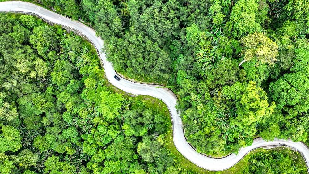 穿行于綠色間，生態(tài)優(yōu)良。張澤坤攝