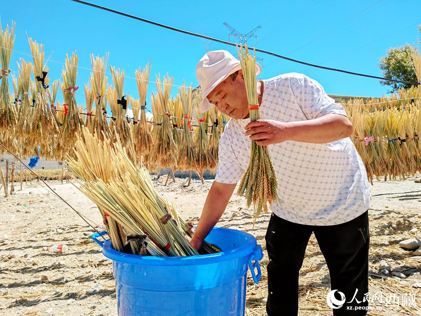 幸福生活曬出來。人民網(wǎng) 李海霞攝