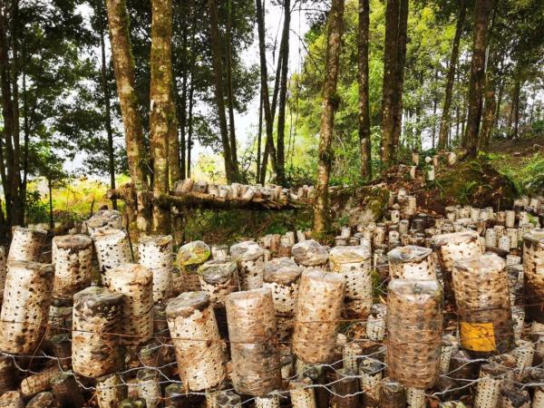 幾代建設者，歷經半個多世紀完成！這是一條怎樣的公路？