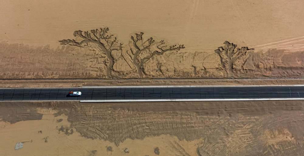 位于國道216沿線的“大地之樹”。邊巴多吉攝