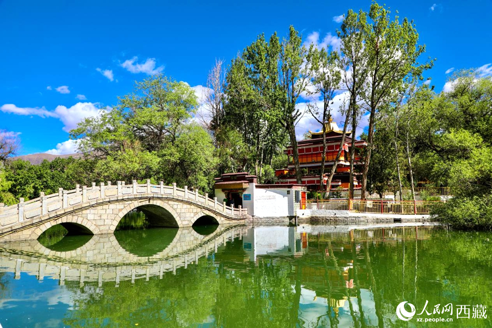 公園內(nèi)綠意盎然。