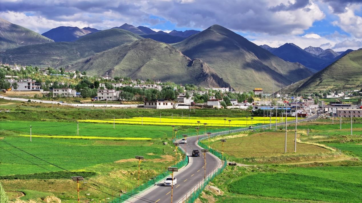 油菜花開“金”滿地。墨竹工卡縣委宣傳部 洛克攝