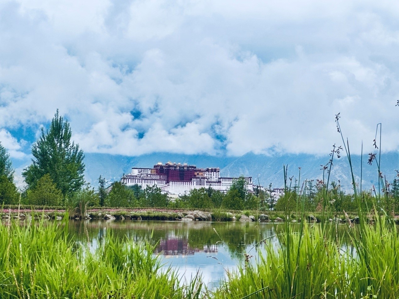 在南山公園遠(yuǎn)眺布達(dá)拉宮。人民網(wǎng)記者 益西康珠攝