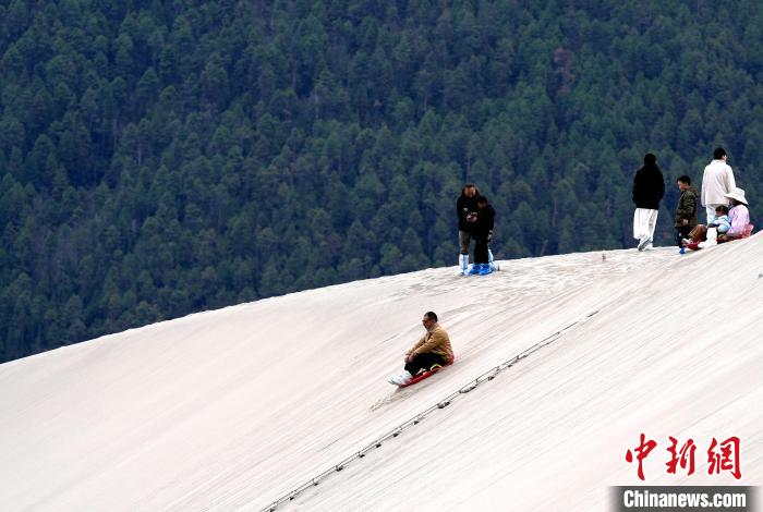 游客西藏米林樂(lè)享美好春光